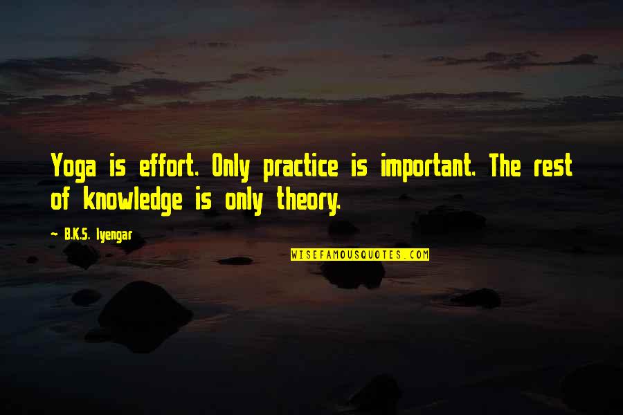 Yoga Is Quotes By B.K.S. Iyengar: Yoga is effort. Only practice is important. The