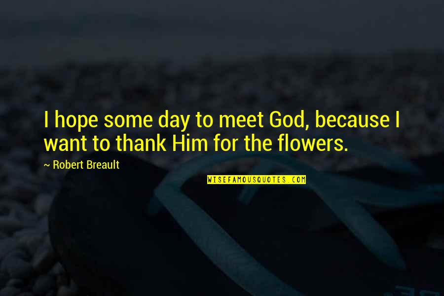 Yogurts For Diabetics Quotes By Robert Breault: I hope some day to meet God, because
