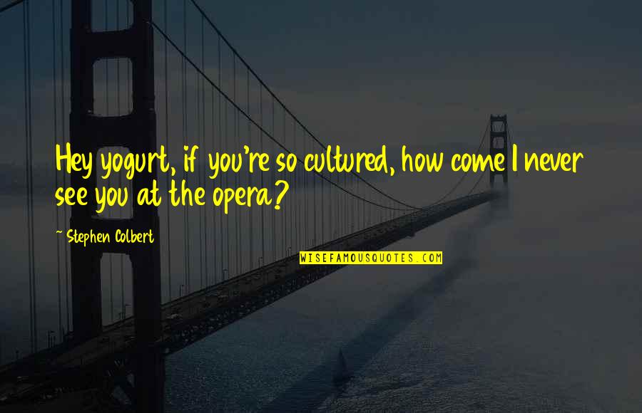 Yogurt's Quotes By Stephen Colbert: Hey yogurt, if you're so cultured, how come