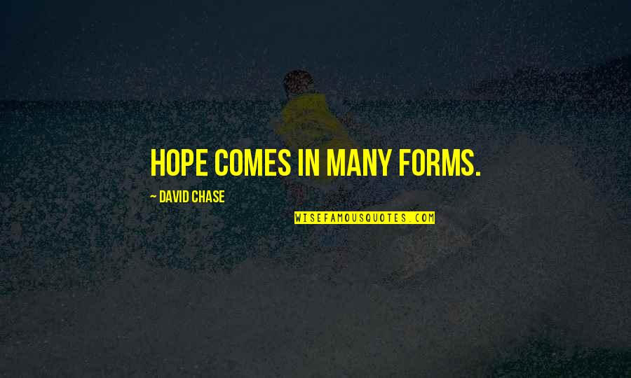 Yohance Carter Quotes By David Chase: Hope comes in many forms.