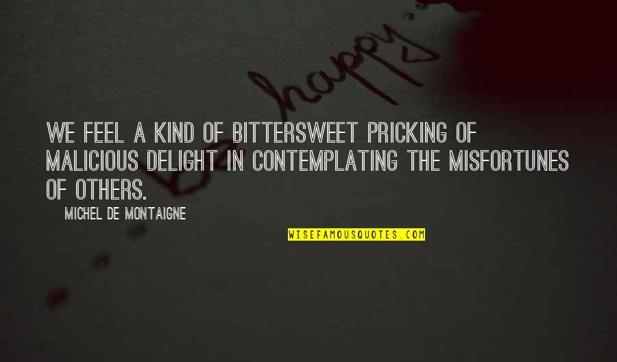 Yohanna Renee Quotes By Michel De Montaigne: We feel a kind of bittersweet pricking of