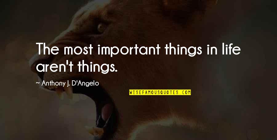 Yolda Jack Quotes By Anthony J. D'Angelo: The most important things in life aren't things. Yolda Jack Quotes By Anthony J. D'Angelo: The most important things in life aren't things.