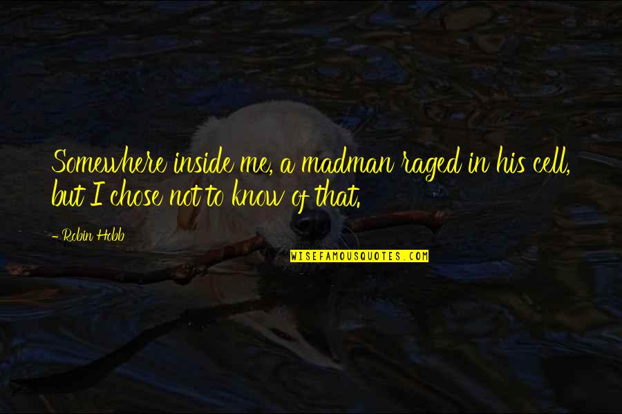 Yoli Diet Quotes By Robin Hobb: Somewhere inside me, a madman raged in his