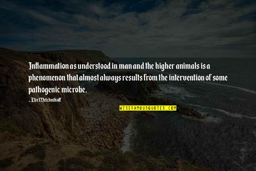Yomara Cortez Quotes By Elie Metchnikoff: Inflammation as understood in man and the higher Yomara Cortez Quotes By Elie Metchnikoff: Inflammation as understood in man and the higher