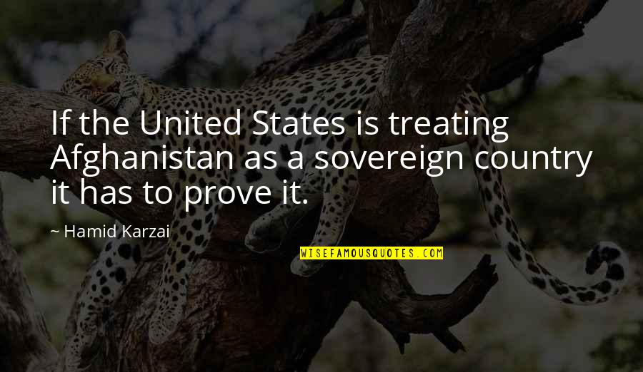 Yonamine Chiru Quotes By Hamid Karzai: If the United States is treating Afghanistan as