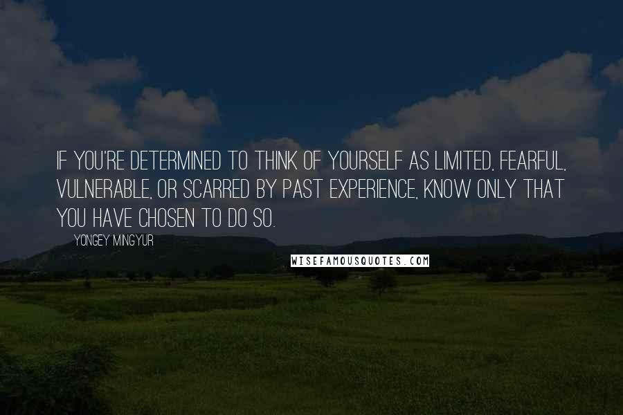 Yongey Mingyur quotes: If you're determined to think of yourself as limited, fearful, vulnerable, or scarred by past experience, know only that you have chosen to do so.