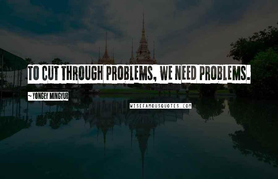 Yongey Mingyur quotes: TO CUT THROUGH problems, we need problems.