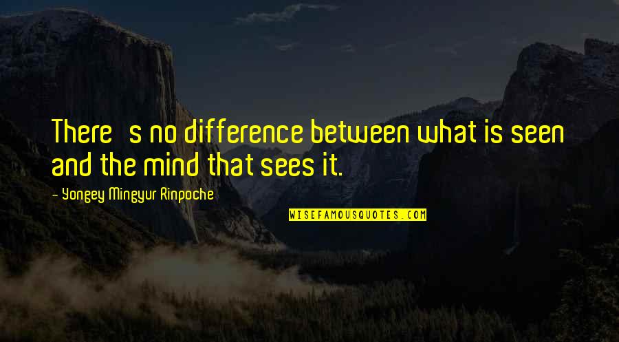 Yongey Mingyur Quotes By Yongey Mingyur Rinpoche: There's no difference between what is seen and Yongey Mingyur Quotes By Yongey Mingyur Rinpoche: There's no difference between what is seen and