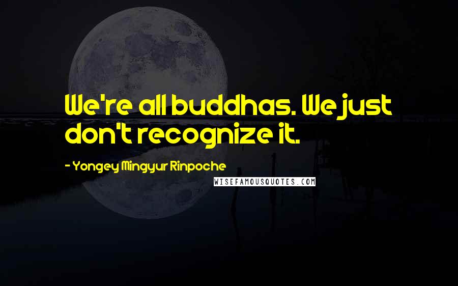 Yongey Mingyur Rinpoche quotes: We're all buddhas. We just don't recognize it.