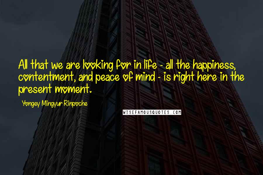 Yongey Mingyur Rinpoche quotes: All that we are looking for in life - all the happiness, contentment, and peace of mind - is right here in the present moment.