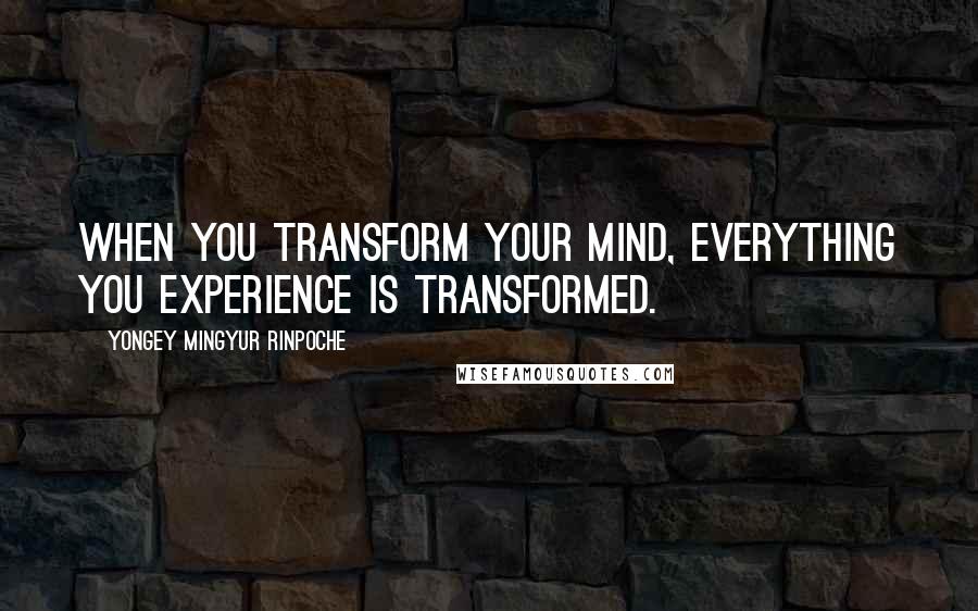 Yongey Mingyur Rinpoche quotes: When you transform your mind, everything you experience is transformed.