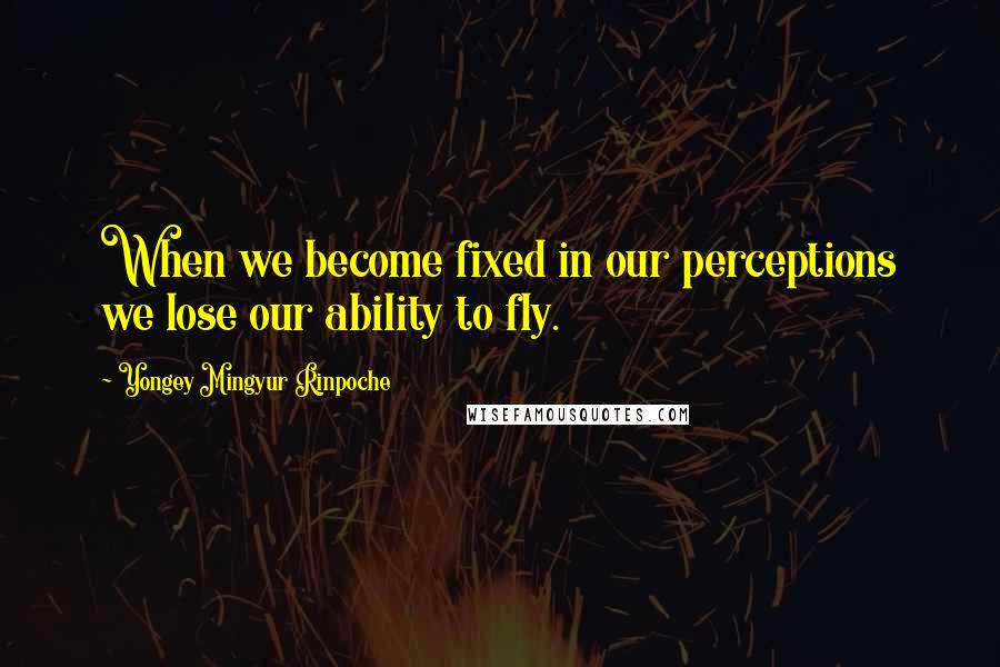 Yongey Mingyur Rinpoche quotes: When we become fixed in our perceptions we lose our ability to fly.