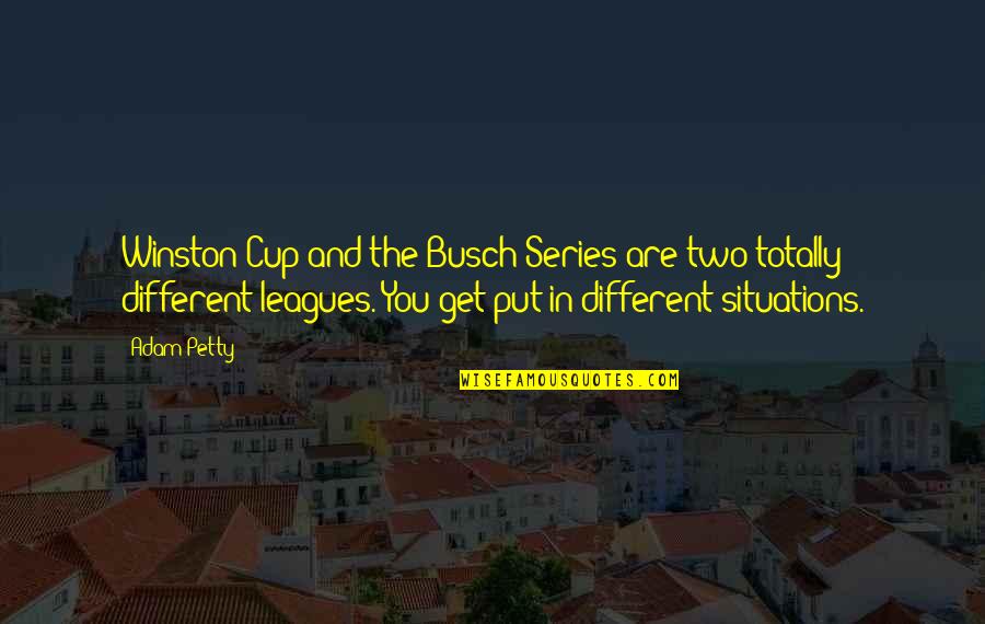 Yordy Sprinkler Quotes By Adam Petty: Winston Cup and the Busch Series are two Yordy Sprinkler Quotes By Adam Petty: Winston Cup and the Busch Series are two