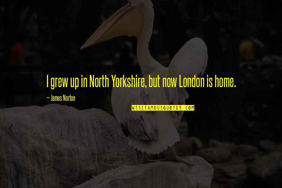Yorkshire Quotes By James Norton: I grew up in North Yorkshire, but now