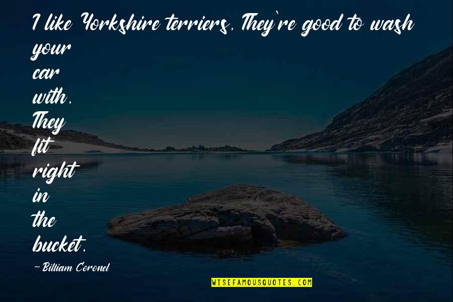 Yorkshire Terriers Quotes By Billiam Coronel: I like Yorkshire terriers. They're good to wash