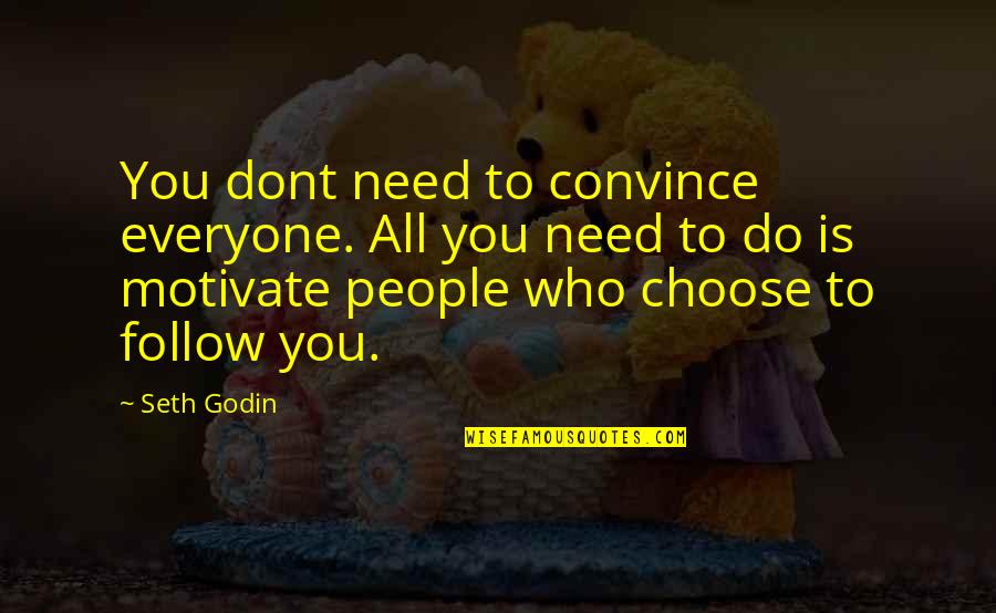 Yoseline Diaz Quotes By Seth Godin: You dont need to convince everyone. All you
