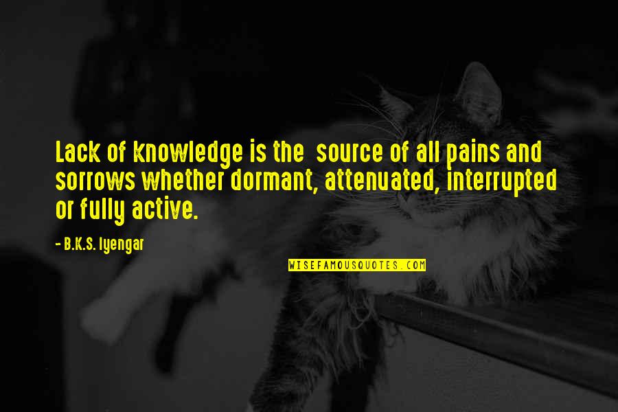 Yoshikane Hamono Quotes By B.K.S. Iyengar: Lack of knowledge is the source of all Yoshikane Hamono Quotes By B.K.S. Iyengar: Lack of knowledge is the source of all
