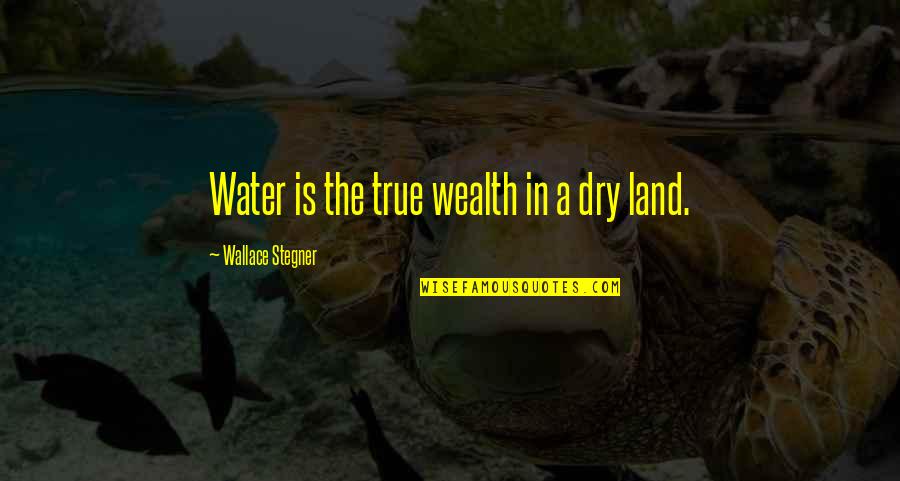 Yoshikuni Katana Quotes By Wallace Stegner: Water is the true wealth in a dry Yoshikuni Katana Quotes By Wallace Stegner: Water is the true wealth in a dry