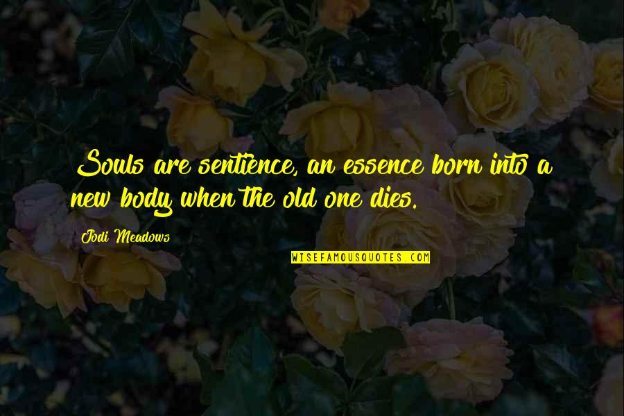 Yoshimichi Tamara Quotes By Jodi Meadows: Souls are sentience, an essence born into a