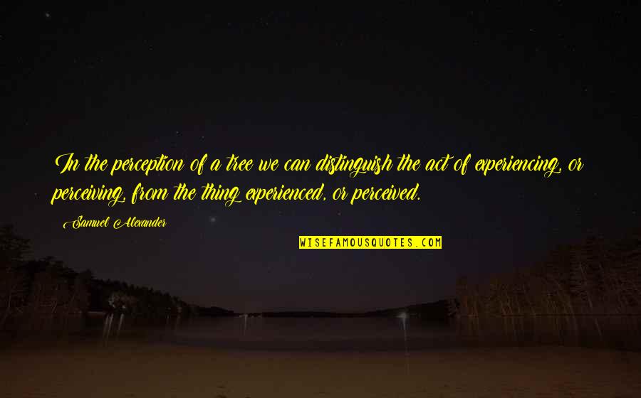 Yoshishige Quotes By Samuel Alexander: In the perception of a tree we can Yoshishige Quotes By Samuel Alexander: In the perception of a tree we can