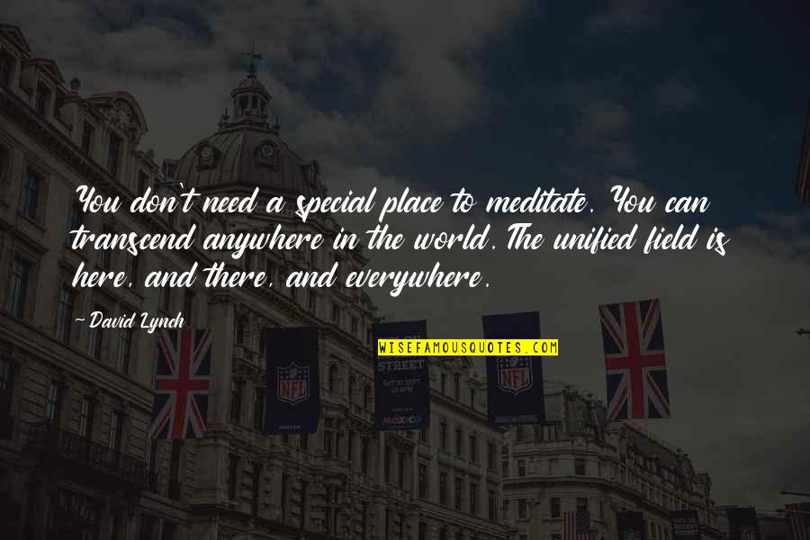 Yosrie Quotes By David Lynch: You don't need a special place to meditate.