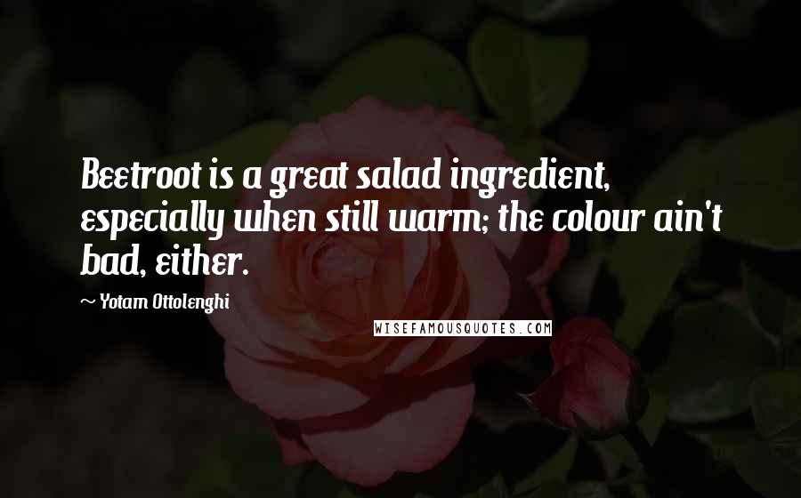 Yotam Ottolenghi quotes: Beetroot is a great salad ingredient, especially when still warm; the colour ain't bad, either.