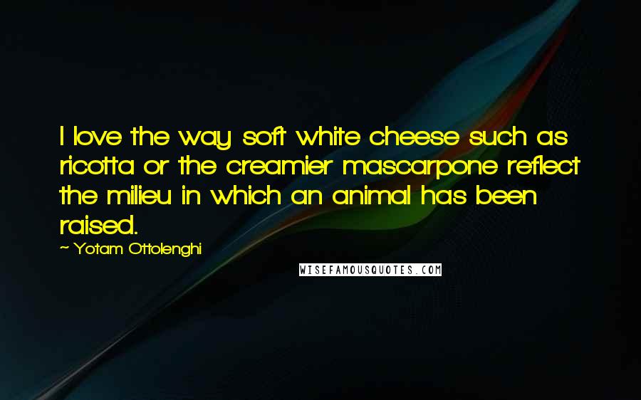 Yotam Ottolenghi quotes: I love the way soft white cheese such as ricotta or the creamier mascarpone reflect the milieu in which an animal has been raised.