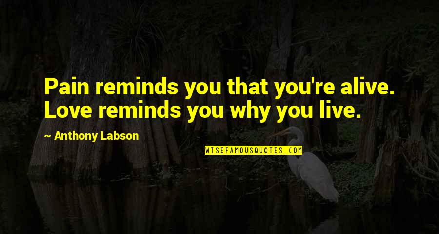Yothinburana Quotes By Anthony Labson: Pain reminds you that you're alive. Love reminds Yothinburana Quotes By Anthony Labson: Pain reminds you that you're alive. Love reminds