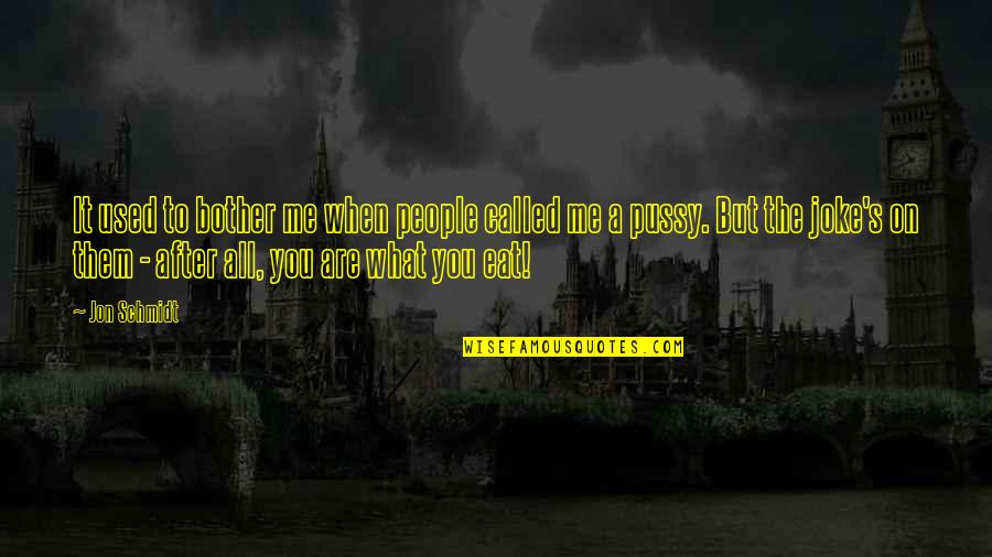 You A Joke Quotes By Jon Schmidt: It used to bother me when people called You A Joke Quotes By Jon Schmidt: It used to bother me when people called