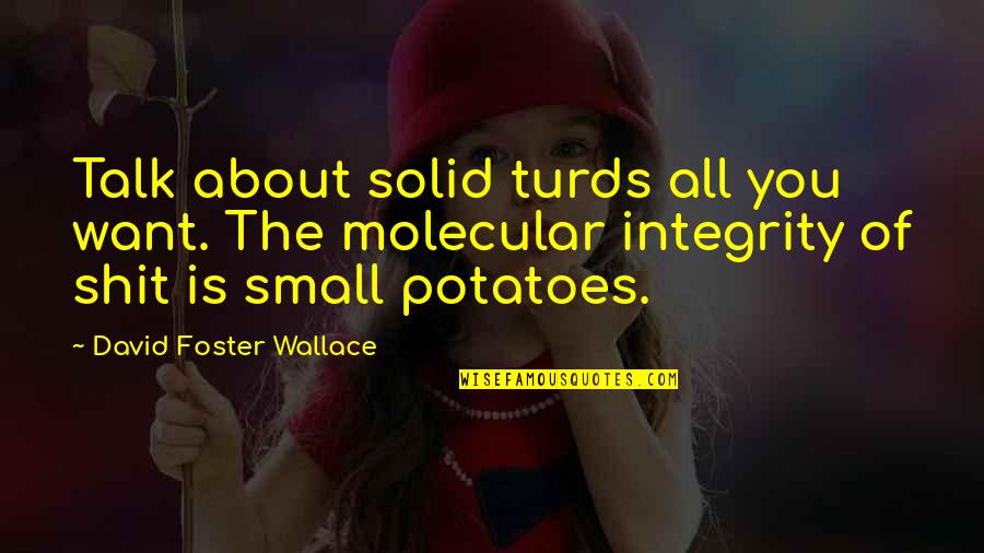 You All Talk Quotes By David Foster Wallace: Talk about solid turds all you want. The