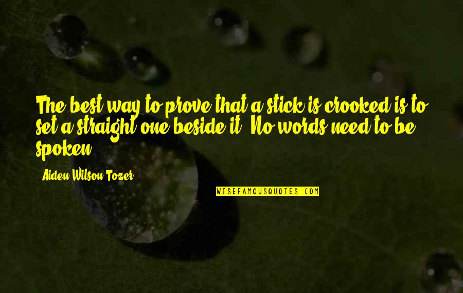 You Already Changed Quotes By Aiden Wilson Tozer: The best way to prove that a stick