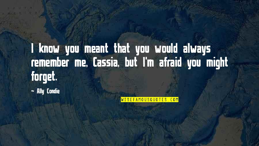 You Always Forget Me Quotes By Ally Condie: I know you meant that you would always