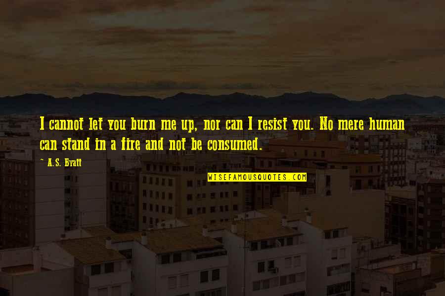 You And Me In Love Quotes By A.S. Byatt: I cannot let you burn me up, nor