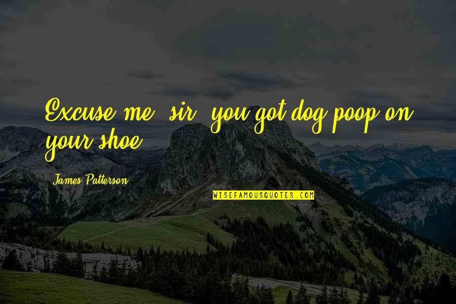 You And Me We Got This Quotes By James Patterson: Excuse me, sir, you got dog poop on