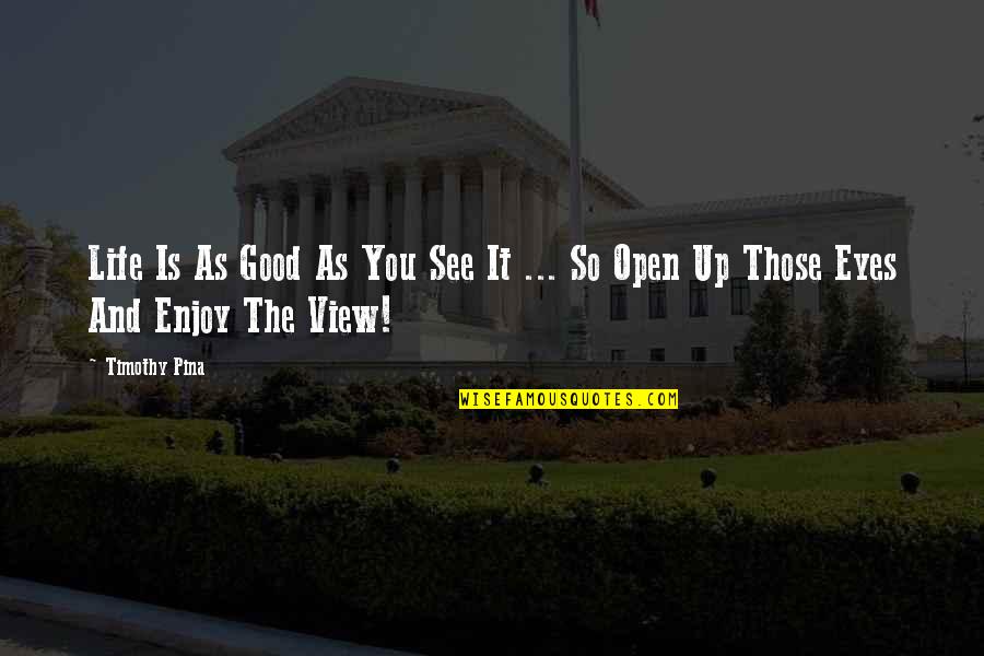 You And The View Quotes By Timothy Pina: Life Is As Good As You See It