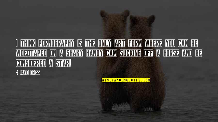 You And Your Horse Quotes By David Cross: I think pornography is the only art form