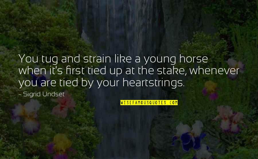 You And Your Horse Quotes By Sigrid Undset: You tug and strain like a young horse