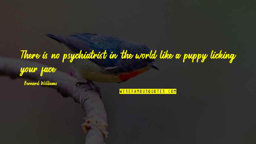 You And Your Puppy Quotes By Bernard Williams: There is no psychiatrist in the world like