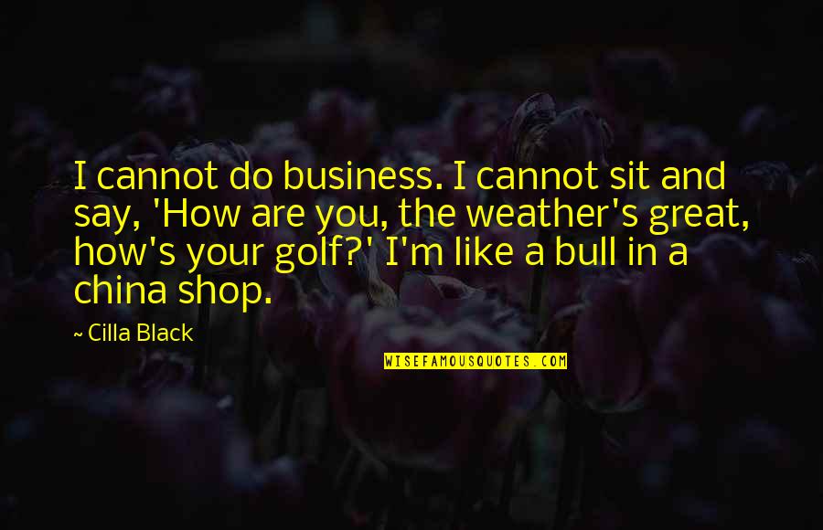 You Are A Business Quotes By Cilla Black: I cannot do business. I cannot sit and