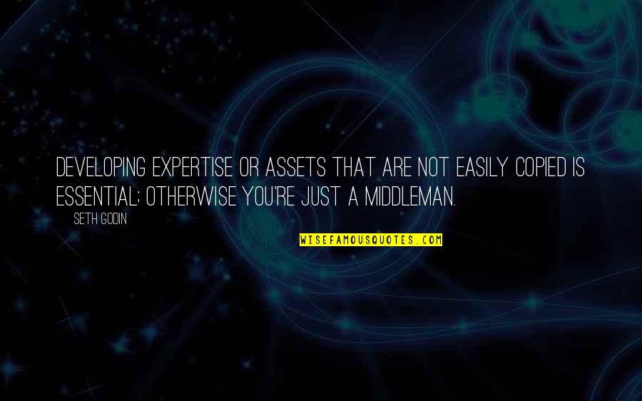 You Are A Business Quotes By Seth Godin: Developing expertise or assets that are not easily