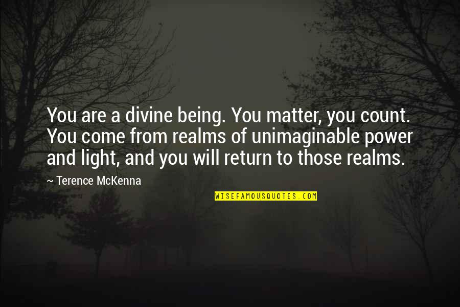 You Are A Light Quotes By Terence McKenna: You are a divine being. You matter, you
