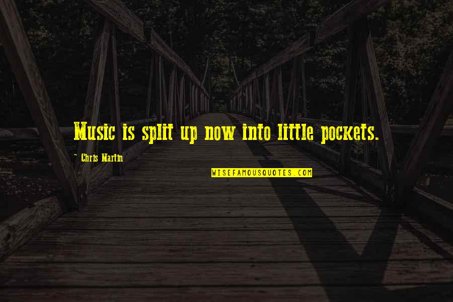 You Are A Rare Breed Quotes By Chris Martin: Music is split up now into little pockets. You Are A Rare Breed Quotes By Chris Martin: Music is split up now into little pockets.
