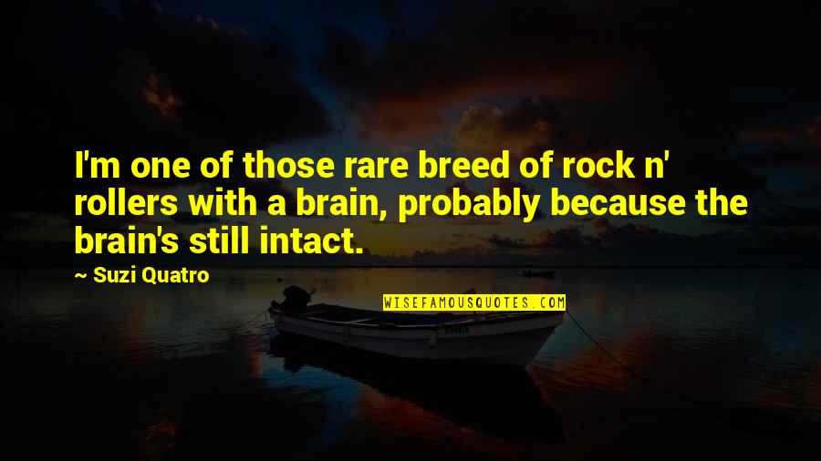 You Are A Rare Breed Quotes By Suzi Quatro: I'm one of those rare breed of rock You Are A Rare Breed Quotes By Suzi Quatro: I'm one of those rare breed of rock