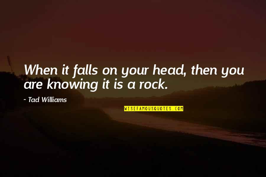 You Are A Rock Quotes By Tad Williams: When it falls on your head, then you