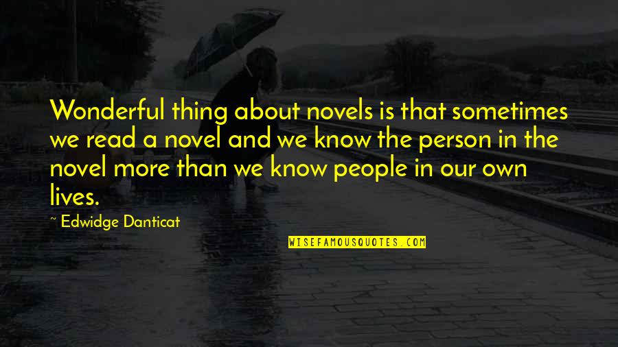 You Are A Wonderful Person Quotes By Edwidge Danticat: Wonderful thing about novels is that sometimes we