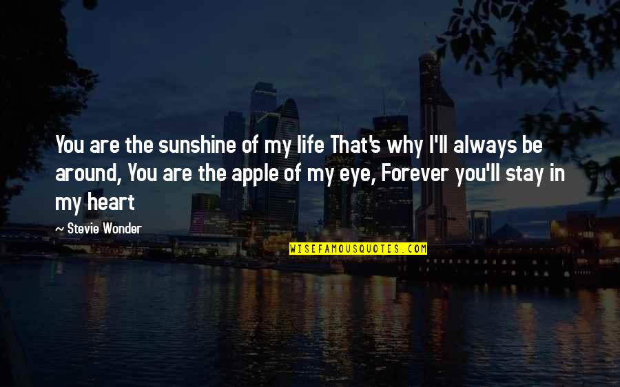 You Are Apple Of My Eye Quotes By Stevie Wonder: You are the sunshine of my life That's You Are Apple Of My Eye Quotes By Stevie Wonder: You are the sunshine of my life That's
