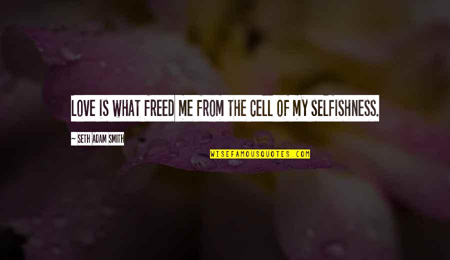 You Are Beyond Perfect Quotes By Seth Adam Smith: Love is what freed me from the cell