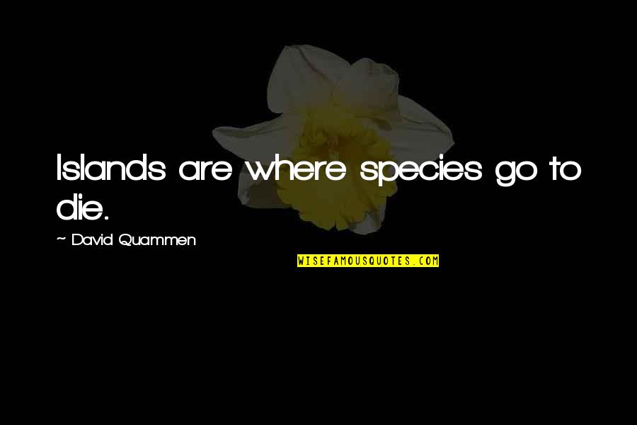 You Are Defined By Your Kindness Quotes By David Quammen: Islands are where species go to die.