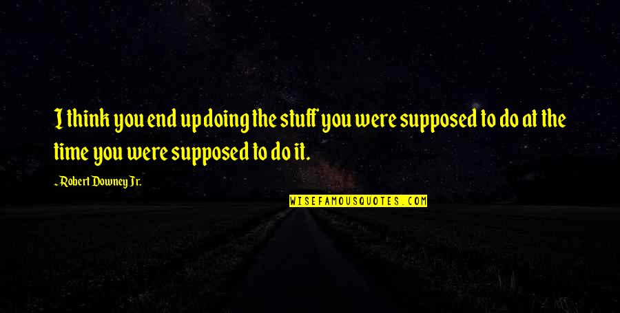 You Are Doing Your Best Quotes By Robert Downey Jr.: I think you end up doing the stuff You Are Doing Your Best Quotes By Robert Downey Jr.: I think you end up doing the stuff