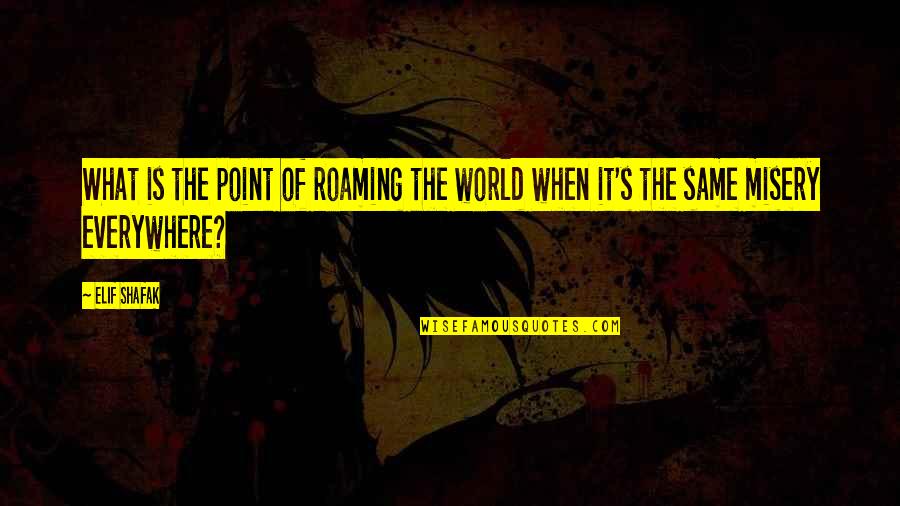 You Are Everywhere Love Quotes By Elif Shafak: What is the point of roaming the world